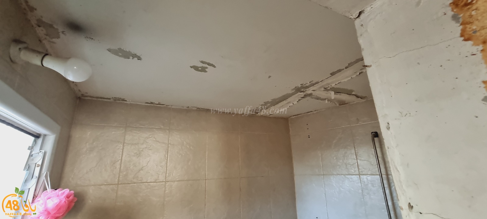 WhatsApp Image 2021-04-21 at 5.17.20 PM (2).jpg